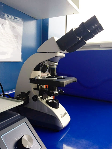 microscopio-para-analisis.jpg